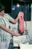 Newborn Baby, 1960s, Childbirth
