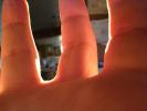 fingers, PACD01_049