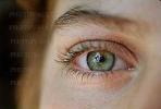 Eyeball, Iris, Lens, Pupil, Eyelash, Cornea, Sclera, skin, Female, Woman, PACV01P02_14