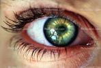 Eyeball, Iris, Lens, Pupil, Eyelash, Cornea, Sclera, skin, Female, Woman, PACV01P02_15B