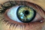 Eyeball, Iris, Lens, Pupil, Eyelash, Cornea, Sclera, Female, Woman, PACV01P02_15C