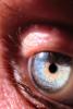 Eyeball, Iris, Lens, Pupil, Eyelash, Cornea, Sclera, PACV01P05_08.2673