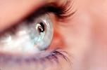 Eyeball, Iris, Lens, Pupil, Eyelash, Cornea, Sclera, Female, Woman, PACV01P05_12