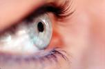 Eyeball, Iris, Lens, Pupil, Eyelash, Cornea, Sclera, Female, Woman, PACV01P05_12B