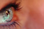 Eyeball, Iris, Lens, Pupil, Eyelash, Cornea, Sclera, Female, Woman, PACV01P05_13.2673