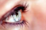 Eyeball, Iris, Lens, Pupil, Eyelash, Cornea, Sclera, Female, Woman, PACV01P05_14