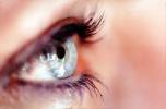 Eyeball, Iris, Lens, Pupil, Eyelash, Cornea, Sclera, Female, Woman, PACV01P05_14B