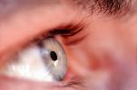 Eyeball, Iris, Lens, Pupil, Eyelash, Cornea, Sclera, Male, Man, profile, PACV01P05_16B