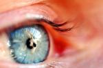 Eyeball, Iris, Lens, Pupil, Eyelash, Cornea, Sclera, Male, Man, PACV01P05_17