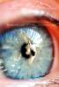 Eyeball, Iris, Lens, Pupil, Eyelash, Cornea, Sclera, Male, Man, PACV01P05_17C