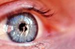 Eyeball, Iris, Lens, Pupil, Eyelash, Cornea, Sclera, Male, Man, PACV01P05_19