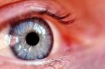 Eyeball, Iris, Lens, Pupil, Eyelash, Cornea, Sclera, Female, Woman, PACV01P05_19B