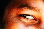 Eyeball, Iris, Lens, Pupil, Eyelash, Cornea, Sclera, Female, Woman, Eye Brow, Eyebrow, skin, PACV01P07_11