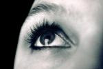 Eyeball, Iris, Lens, Pupil, Eyelash, Cornea, Sclera, Female, Woman, Eye Brow, Eyebrow, skin, PACV01P09_09.2675