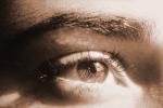Eyeball, Iris, Lens, Pupil, Eyelash, Cornea, Sclera, Female, Woman, Eye Brow, Eyebrow, skin, PACV01P13_16.2676
