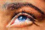 Eyeball, Iris, Lens, Pupil, Eyelash, Cornea, Sclera, Female, Woman, Eye Brow, Eyebrow, skin, PACV01P13_17B.2676
