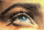 Eyeball, Iris, Lens, Pupil, Eyelash, Cornea, Sclera, Female, Woman, Eye Brow, Eyebrow, skin