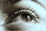 Eyeball, Iris, Lens, Pupil, Eyelash, Cornea, Sclera, Female, Woman, Eye Brow, Eyebrow, skin, PACV01P13_18.2676