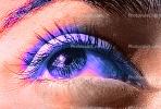 Eyeball, Iris, Lens, Pupil, Eyelash, Cornea, Sclera, Female, Woman, Eye Brow, Eyebrow, skin, PACV01P13_18B
