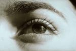 Eyeball, Iris, Lens, Pupil, Eyelash, Cornea, Sclera, Female, Woman, Eye Brow, Eyebrow, skin, PACV01P13_19.2676