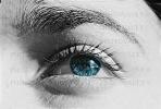 Eyeball, Iris, Lens, Pupil, Eyelash, Cornea, Sclera, Female, Woman, Eye Brow, Eyebrow, skin, PACV01P13_19