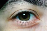 Eyes, Eyelash, skin, Eyeball, Iris, Lens, Pupil, Cornea, Sclera, Eyebrow, Female, Woman, girl, PACV02P02_01