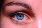 Eyes, Eyelash, skin, Eyeball, Iris, Lens, Pupil, Cornea, Sclera, Eyebrow, Female, Woman, girl, PACV02P02_02.2677