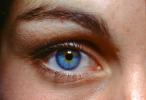 Eyes, Eyelash, skin, Eyeball, Iris, Lens, Pupil, Cornea, Sclera, Eyebrow, Female, Woman, girl, PACV02P02_02