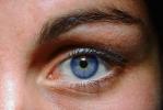 Eyes, Eyelash, skin, Eyeball, Iris, Lens, Pupil, Cornea, Sclera, Eyebrow, Female, Woman, girl, PACV02P02_02B