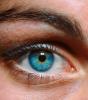 Eyes, Eyelash, skin, Eyeball, Iris, Lens, Pupil, Cornea, Sclera, Eyebrow, Female, Woman, girl, PACV02P02_02C