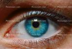 Eyes, Eyelash, skin, Eyeball, Iris, Lens, Pupil, Cornea, Sclera, Eyebrow, Female, Woman, girl, PACV02P02_02D