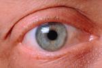 Eyes, Eyelash, skin, Eyeball, Iris, Lens, Pupil, Cornea, Sclera, Man, Male, PACV02P02_05.2677