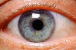 Eyes, Eyelash, skin, Eyeball, Iris, Lens, Pupil, Cornea, Sclera, Man, Male, PACV02P02_07B