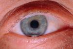 Eyes, Eyelash, skin, Eyeball, Iris, Lens, Pupil, Cornea, Sclera, Man, Male, PACV02P02_08.2677