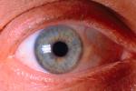 Eyes, Eyelash, skin, Eyeball, Iris, Lens, Pupil, Cornea, Sclera, Man, Male, PACV02P02_09.2677