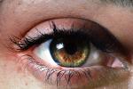 Eyes, Eyelash, skin, female, woman, eyebrow, Eyeball, Iris, Lens, Pupil, Cornea, Sclera, PACV02P02_17