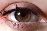 Eyes, Eyelash, skin, female, woman, eyebrow, Eyeball, Iris, Lens, Pupil, Cornea, Sclera, PACV02P02_17B