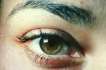 Eyes, Eyelash, skin, female, woman, eyebrow, Eyeball, Iris, Lens, Pupil, Cornea, Sclera, PACV02P02_18