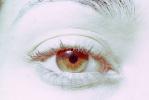 Eyes, Eyelash, skin, female, woman, eyebrow, iris, pupil, cornea, PACV02P02_19