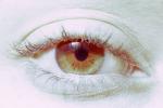 Eyes, Eyelash, skin, female, woman, eyebrow, iris, pupil, cornea, PACV02P02_19B