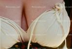 Breasts in a Bra Costume, Renaissance Fair, PACV02P06_08B