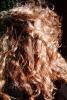 braided hair, PACV02P07_02