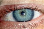 Eyeball, Iris, Lens, Pupil, Cornea, Sclera, Eyelash, aqueous humor, skin, Woman, Female, PACV02P07_18