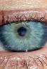 Eyeball, Iris, Lens, Pupil, Cornea, Sclera, Eyelash, aqueous humor, Woman, Female, PACV02P07_18C