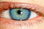 Eyeball, Iris, Lens, Pupil, Cornea, Sclera, Eyelash, aqueous humor, skin, Woman, Female, PACV02P07_19