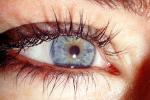 Eyeball, Iris, Lens, Pupil, Cornea, Sclera, Eyelash, aqueous humor, skin, Woman, Female, PACV02P08_04