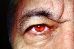 Spooky, Eye, Eyeball, Iris, Lens, Pupil, Eyelash, Cornea, Sclera, Man, Male, skin, Eye Brow, Eyebrow, PACV02P10_05B