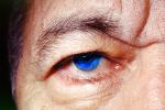 Eyeball, Iris, Lens, Pupil, Eyelash, Cornea, Sclera, Man, Male, skin, Eye Brow, Eyebrow, PACV02P10_06B