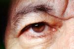 Eyeball, Iris, Lens, Pupil, Eyelash, Cornea, Sclera, Man, Male, skin, Eye Brow, Eyebrow, PACV02P10_07