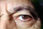Eyeball, Iris, Lens, Pupil, Eyelash, Cornea, Sclera, Man, Male, skin, Eye Brow, Eyebrow, PACV02P10_09